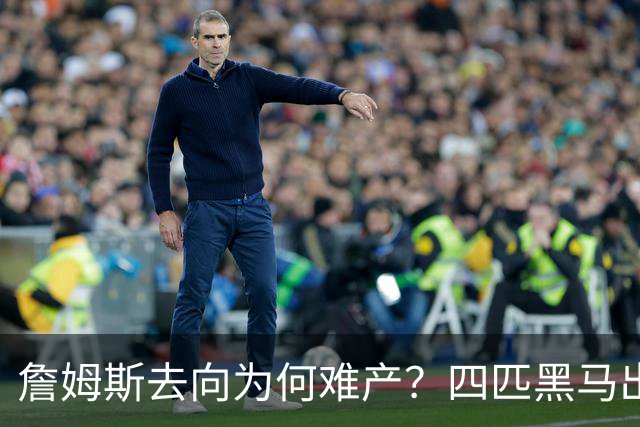 詹姆斯去向为何难产？四匹黑马出现加剧混乱